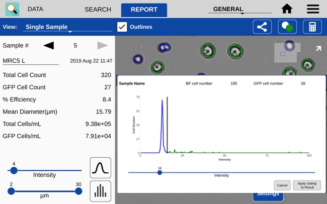 GFP Intensity Gating