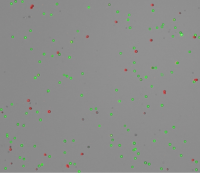 My Image 45