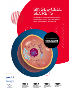 Single-Cell Secrets: E-book