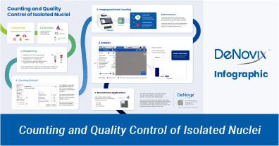 Counting and Quality Control of Isolated Nuclei Infographic