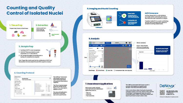Counting and Quality Control of Isolated Nuclei Infographic