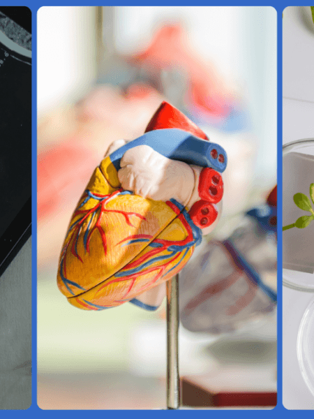 Exploring Key Applications of Single Nuclei RNA Sequencing Image