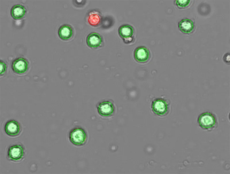 DeNovix Releases Higher Magnification CellDrop Models