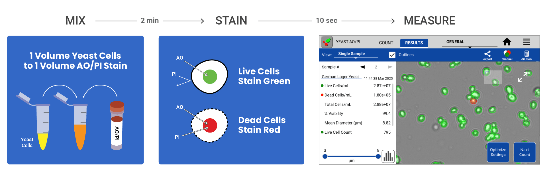 Yeast cell counting workflow: CellDrop FLxi and AO/PI