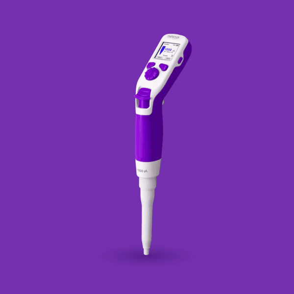 Purple Squid