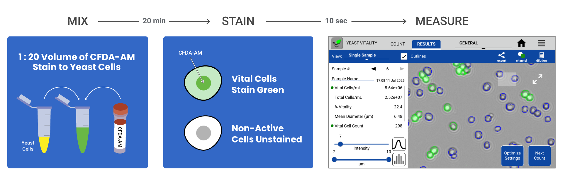Yeast-Vitality-Tech-Note-Workflow Yeast Vitality Workflow