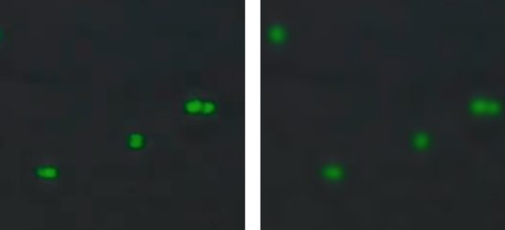 TN 244 Figure 3 Figure 3