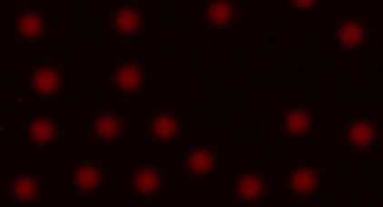 TN 244 Figure 4 Figure 4