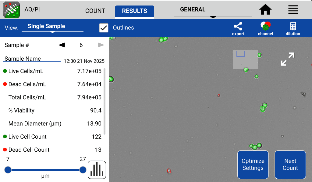 Figure 5 Detached Tumorspheres