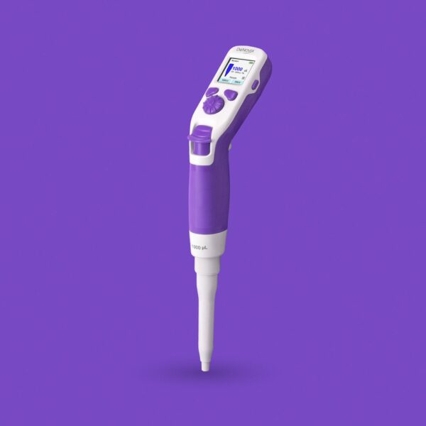 Squid-Purple-v2 Deep Purple Squid